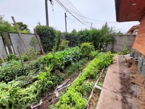 Zahrada ubytování Cabañas Refugio Nativo