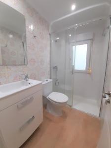 ein Bad mit einem WC, einer Dusche und einem Waschbecken in der Unterkunft Gran apartamento 7 plazas centro de Oviedo-OV4729 in Oviedo