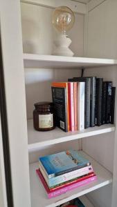a book shelf with books and a light on it at Tiny house ''De Veenpolder'' in De Veenhoop +6 photos