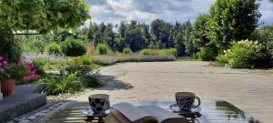 un giardino con panchine e fiori e un patio di Spokojnia Ostróda a Ostróda
