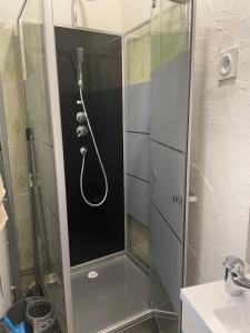 y baño con ducha y puerta de cristal. en Ambert CentreVille La Studette tout confort, en Ambert