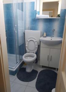 a bathroom with a toilet and a sink and a shower at Karmen in Zadar