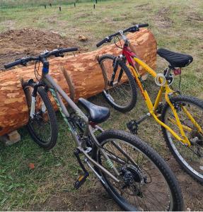 Dos bicicletas están estacionadas junto a un tronco. en Cuda Wianki en Zdów