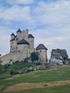 a large castle on top of a hill at Cuda Wianki in Zdów