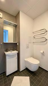a bathroom with a toilet and a sink at Studio apartment 2 in Pärnu +7 photos