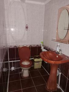 a bathroom with a red toilet and a sink at Гостиница Энглер в Хромтау in Khromtaū