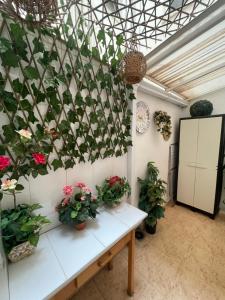 Kuchnia lub aneks kuchenny w obiekcie Apartment Goya