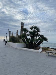 park z palmą nad oceanem w obiekcie Apartment Goya w mieście Torrevieja