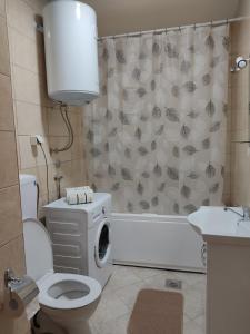 ein Bad mit einem WC und einem Duschvorhang in der Unterkunft Apartman Andjela in Plužine
