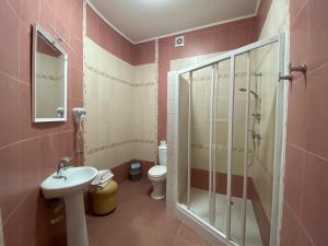 a bathroom with a shower and a sink and a toilet at Parus in Chernivtsi