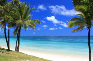 uma praia com palmeiras e o oceano em Paradisia Holidays Mauritius em Trou dʼEau Douce