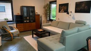 TV a/nebo společenská místnost v ubytování Apartma Nomad