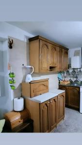 - une cuisine avec des placards en bois et un comptoir dans l'établissement House Seoska OAZA, 