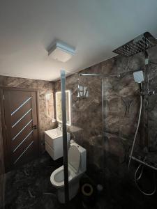 La salle de bains est pourvue de toilettes et d'une douche en verre. dans l'établissement Kul House - Cazare, à Băileşti