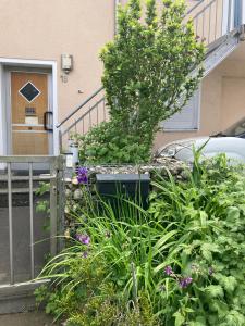 Ein Haufen Pflanzen vor einem Haus in der Unterkunft Toll Apartment mit privatem Eingang free Parking Slbst Check-in NETFLIX 30 Zone ruhig in Duisburg