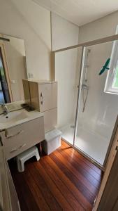 ein Bad mit einer Dusche, einem Waschbecken und einem Spiegel in der Unterkunft Villa La Moraine in Thonon-les-Bains