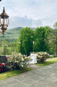 Glenorchy Lodge-Rooms Only في دالمالي: ضوء الشارع والزهور في الحديقة