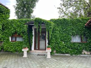 a building covered in green ivy with a door and two plants at Vila Toscana in Timişoara