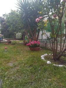 Zahrada ubytování Sofis Garden