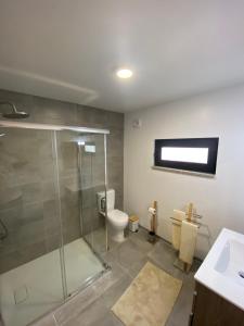 ein Badezimmer mit Dusche, Toilette und Waschbecken in der Unterkunft Casa Rodrigues in Terras de Bouro