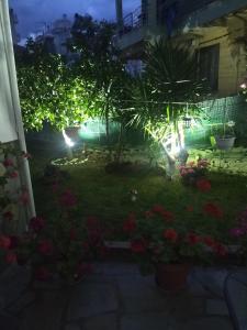 Zahrada ubytování Sofis Garden