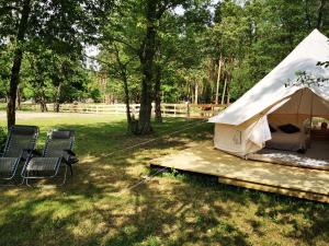 ein Zelt auf einem Feld mit Stühlen und Bäumen in der Unterkunft Glamping Kaliska in Łochów