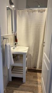 baño con lavabo y cortina de ducha en 25puntocinco deptos Tandil en Tandil