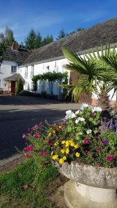 a garden of flowers in front of a house at Tor zur Teufelsschlucht in Ferschweiler