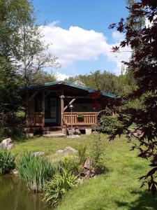 a log cabin with a pond in front of it at Studio à Ban de Sapt in Ban-de-Sapt