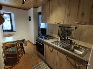 une cuisine avec un évier et une cuisinière dans l'établissement Appartamenti nonna Carmen, à Sappada
