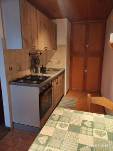 Il comprend une cuisine équipée d'une cuisinière, d'un évier et d'une table. dans l'établissement Appartamenti nonna Carmen, à Sappada