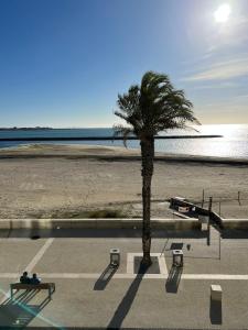 a palm tree in a parking lot next to a beach at Appartement Mar e Souleu avec Terrasse et Vue Mer au Grau du Roi in Le Grau-du-Roi