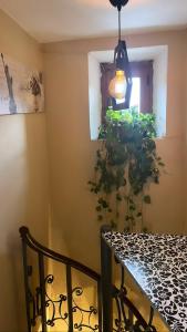 a potted plant on the wall next to a table at La Casetta in Montefegatesi