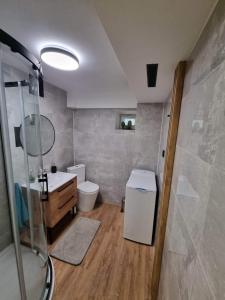 La salle de bains est pourvue d'une douche, de toilettes et d'un lavabo. dans l'établissement Pod Wieżą Ciśnień, à Wrocław
