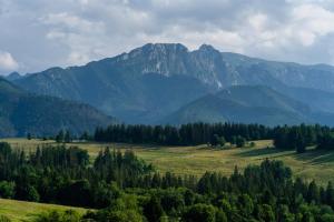 a field with trees and mountains in the background at Willa Rzepicha in Zakopane +131 photos