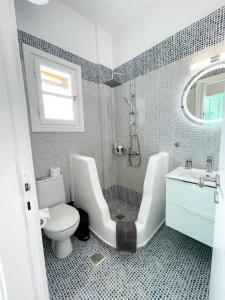 a bathroom with a toilet and a shower and a sink at Twins Apartments in Fanari