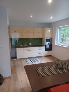 Kuchyň nebo kuchyňský kout v ubytování Apartmány Domaša Poľany