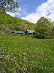 a barn in the middle of a green field at Naša kuća-Veruša in Veruša