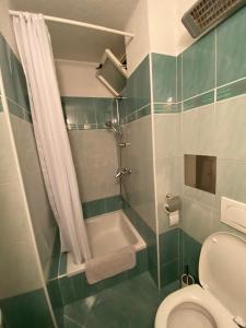 a small bathroom with a toilet and a shower at Apartment Sea you in Lovran