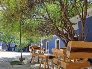 a group of wooden tables and chairs under a tree at Casa Refugio Budget House 8 Rooms & 9 Bathrooms in Oaxaca City