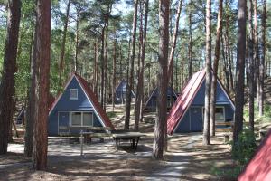 特拉森海德的住宿－Finndorf am Strand，树林里的一组帐篷,配有野餐桌