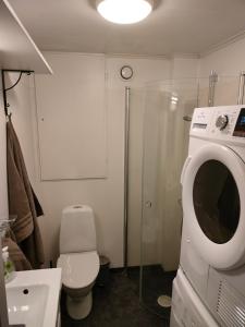 a bathroom with a toilet and a washing machine at Vackert naturnära i Höga Kusten 