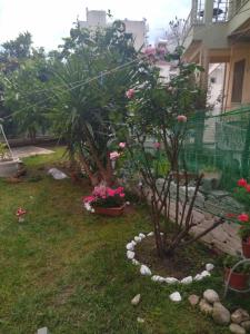 Zahrada ubytování Sofis Garden
