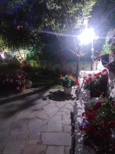 Zahrada ubytování Sofis Garden