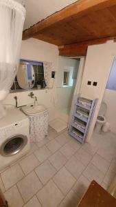 ein Badezimmer mit einem Waschbecken und einer Waschmaschine in der Unterkunft Chalupa pod Modřínem in Kořenov