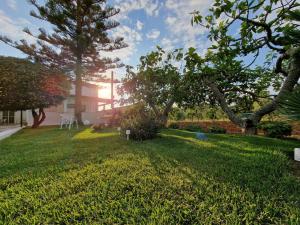 a yard with green grass and trees and a house at Meraviglia d'Otranto in Otranto