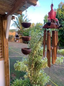 a bird feeder is hanging from a tree at Ti’Bou des Îles de Guadeloupe in Le Moule