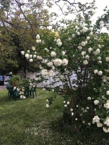 Jardín al aire libre en Welcome in Toscana