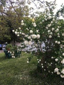 Príroda v okolí apartmánu