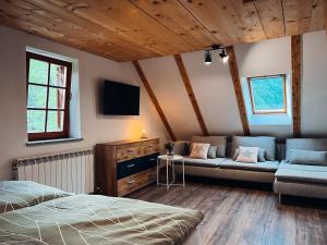 - une chambre avec un lit, un canapé et une télévision dans l'établissement Apartments Mala Korita Soče, à Vallée de la Soča
